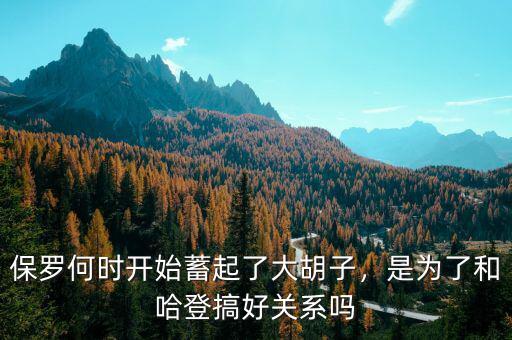 保羅何時開始蓄起了大胡子，是為了和哈登搞好關系嗎