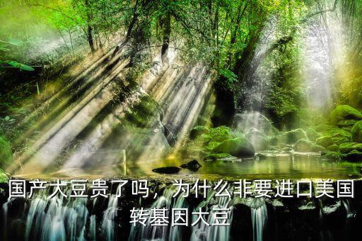 中國為什么要進口轉基因大豆,為何還在繼續進口大豆