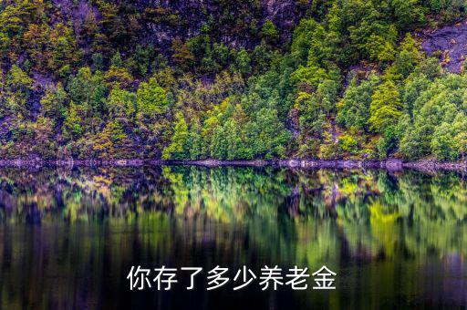 你們拿了多少養老金,你存了多少養老金