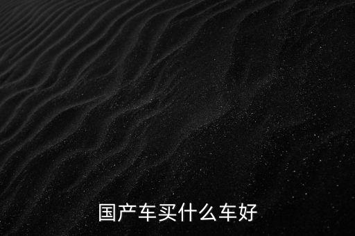 國產車買什么車好