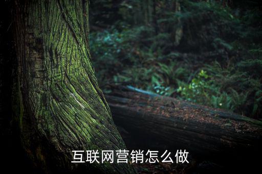 普通人怎么進軍互聯網,普通人怎樣才能參與進互聯網