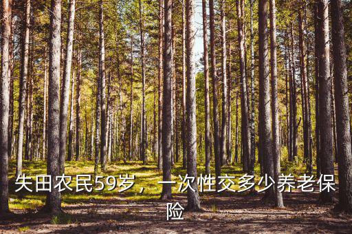 失田農(nóng)民59歲，一次性交多少養(yǎng)老保險(xiǎn)