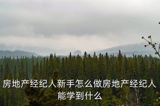 怎么做愛屋及烏經紀人,如何做一名優秀的地產經紀人