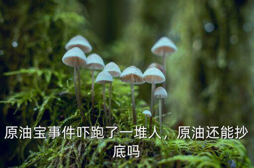 原油寶事件嚇跑了一堆人，原油還能抄底嗎