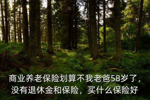 商業(yè)養(yǎng)老保險劃算不我老爸58歲了，沒有退休金和保險，買什么保險好