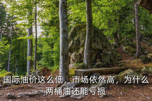 國際油價(jià)這么低，市場依然高，為什么兩桶油還能虧損