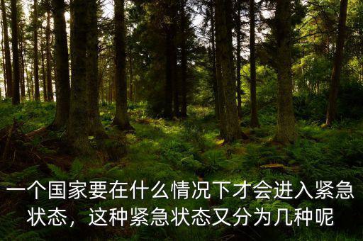 什么是國家緊急狀態,美國緊急狀態是什么概念
