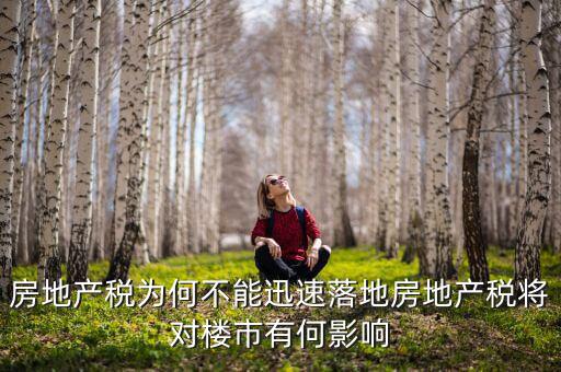 房地產稅為何不能迅速落地房地產稅將對樓市有何影響