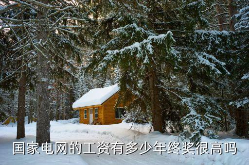 2014國家電網降薪多少,國家電網的工資有多少