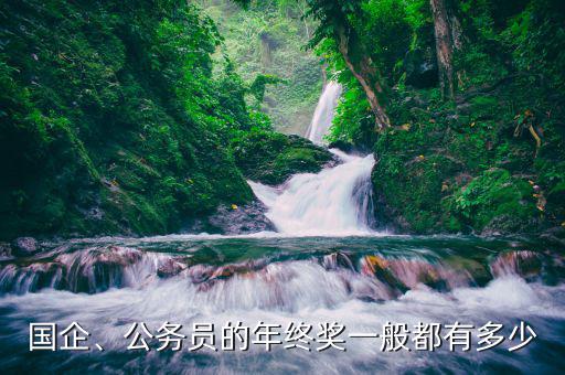 國企、公務員的年終獎一般都有多少