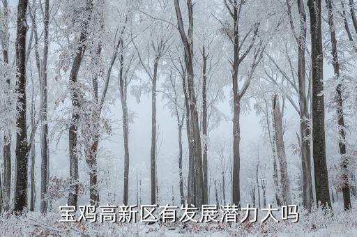 寶雞高新發展怎么樣,寶雞未來的發展怎么樣