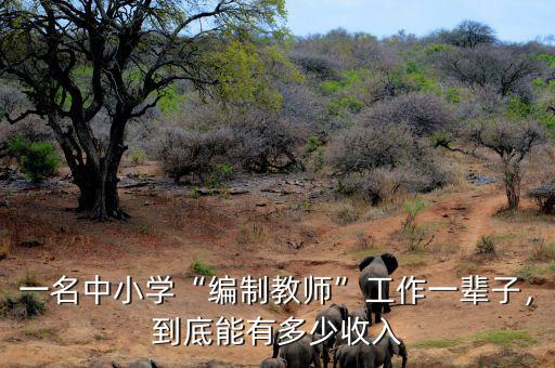 一名中小學“編制教師”工作一輩子，到底能有多少收入