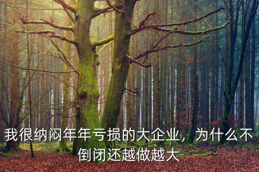 新企業為什么會虧損,為什么會出現虧損