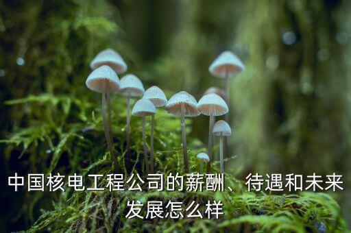 中國新時代工程公司待遇怎么樣,待遇和未來發展怎么樣