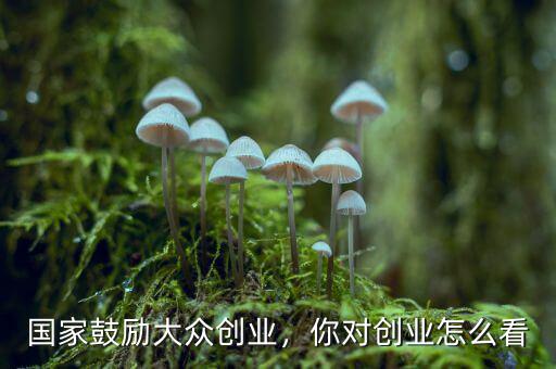 國家鼓勵(lì)大眾創(chuàng)業(yè)，你對(duì)創(chuàng)業(yè)怎么看