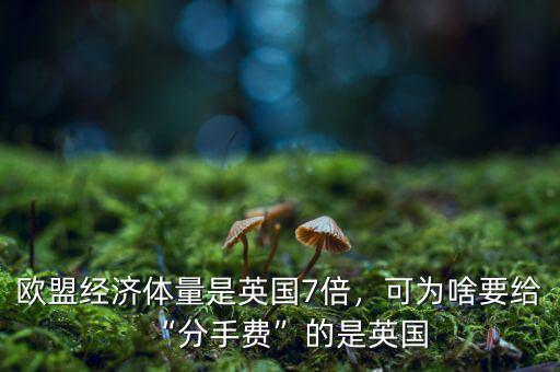 歐盟經濟體量是英國7倍，可為啥要給“分手費”的是英國