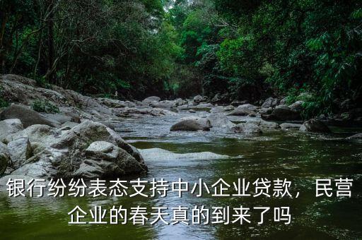 銀行紛紛表態支持中小企業貸款，民營企業的春天真的到來了嗎