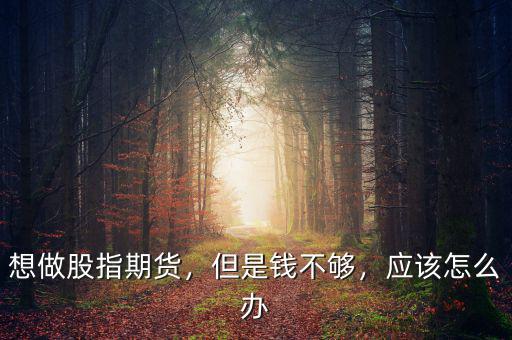 想做股指期貨，但是錢不夠，應該怎么辦
