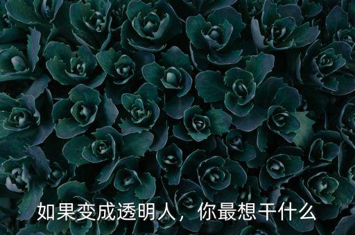 如果變成透明人，你最想干什么