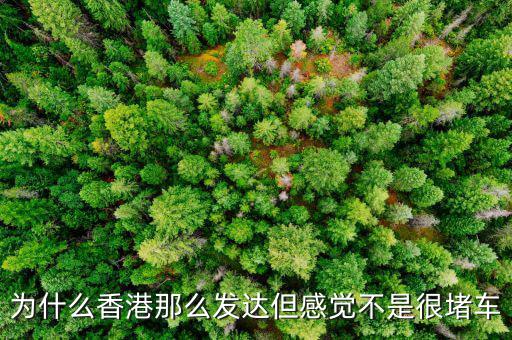 為什么香港那么發達但感覺不是很堵車