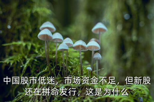 中國股市低迷，市場(chǎng)資金不足，但新股還在拼命發(fā)行，這是為什么