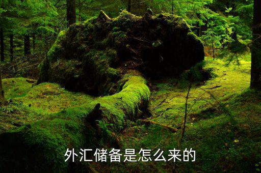 什么樣的外匯儲備規模是合理的,外匯儲備是怎么來的