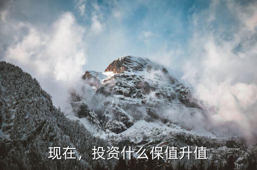 現在，投資什么保值升值