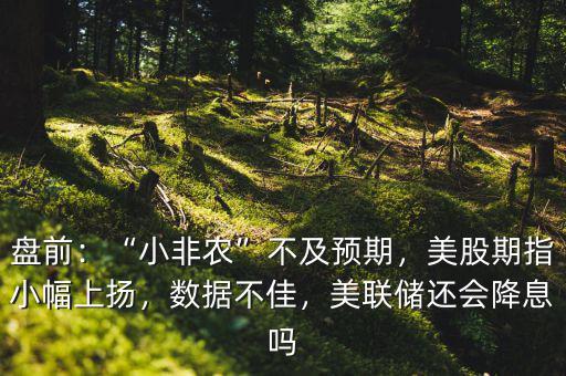 小非農數據是什么意思,小非農不及預期