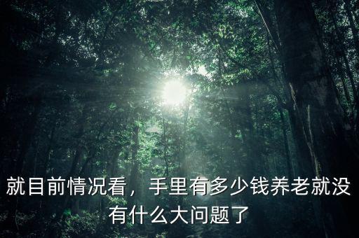 有多少錢可以養老了,一個光棍兒存多少錢才夠養老