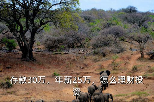 存款30萬，年薪25萬，怎么理財投資