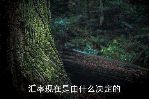 匯率現在是由什么決定的