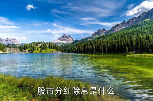 股票現金分紅是什么意思,股票分紅有什么意義