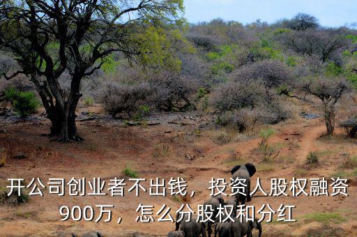 開公司創(chuàng)業(yè)者不出錢，投資人股權融資900萬，怎么分股權和分紅