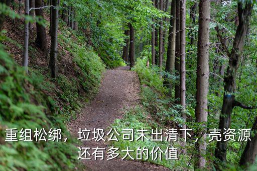重組松綁，垃圾公司未出清下，殼資源還有多大的價值