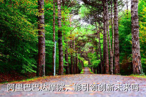 阿里巴巴未來醫院怎么用,能引領創新未來嗎