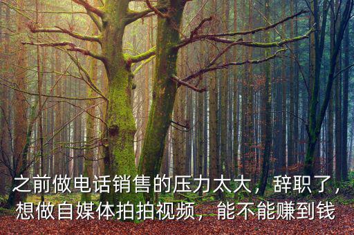 之前做電話銷售的壓力太大，辭職了，想做自媒體拍拍視頻，能不能賺到錢