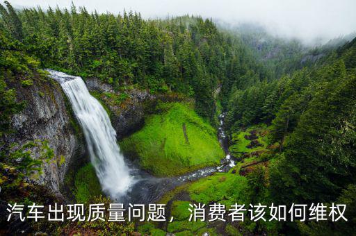 汽車出現質量問題，消費者該如何維權