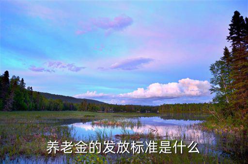 養老金的發放標準是什么