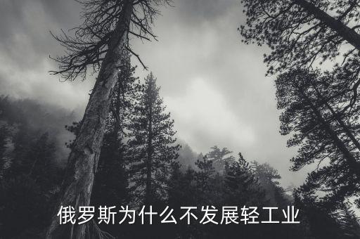 為什么俄羅斯不發展制造業,為什么不大力發展制造業