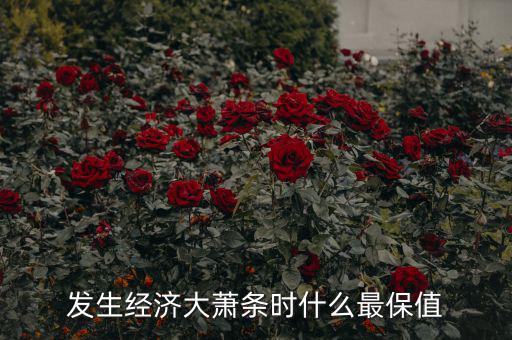 經濟不景氣時什么消費最大,發生經濟大蕭條時什么最保值