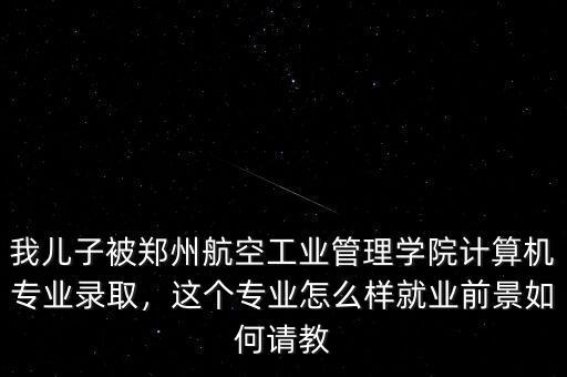 我兒子被鄭州航空工業管理學院計算機專業錄取，這個專業怎么樣就業前景如何請教