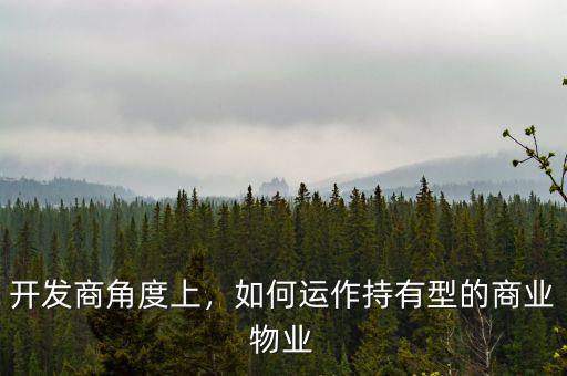 開發商角度上，如何運作持有型的商業物業