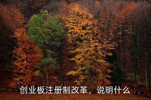 創業板注冊制改革，說明什么