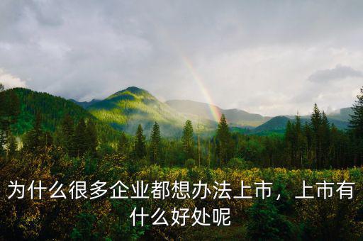 國有企業上市有什么好處,上市有什么好處呢