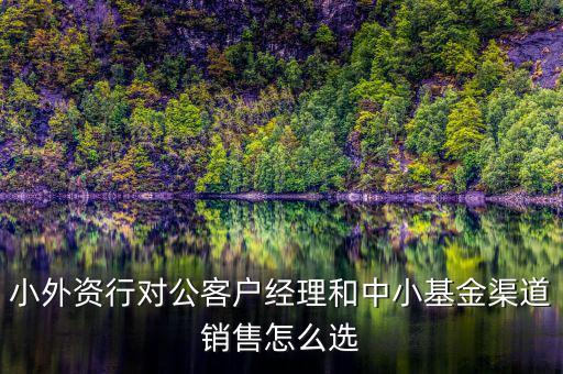 小外資行對公客戶經理和中小基金渠道銷售怎么選