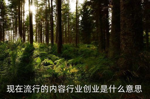 內容創業什么意思,如何靠內容創業