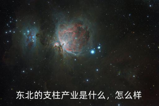 東北發展什么業,國家越來越關注東北農業發展