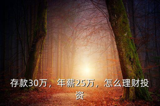 存款30萬，年薪25萬，怎么理財投資