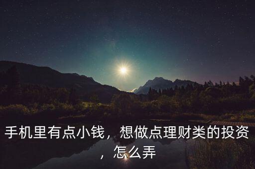 手機里有點小錢，想做點理財類的投資，怎么弄