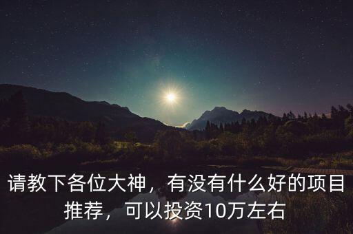 請教下各位大神，有沒有什么好的項目推薦，可以投資10萬左右